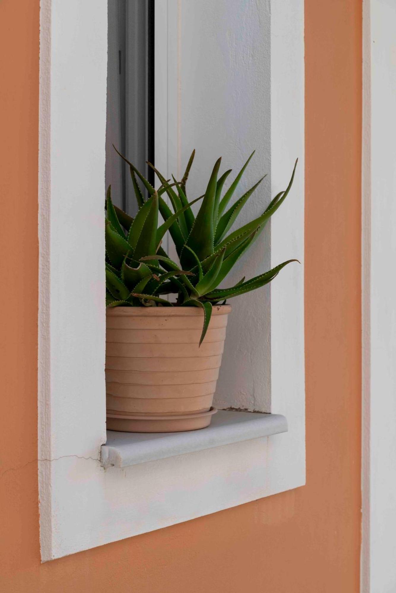 Aparthotel San Lazzaro Nydri  Exterior foto